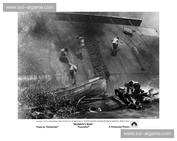 霍姆格伦谈托皮奇：他是在为自己的生命而战